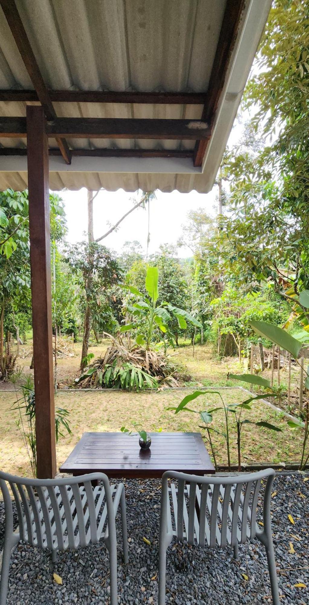 Baan Hinlad Home And Hostel (Adults Only) Lipa Noi Exterior photo